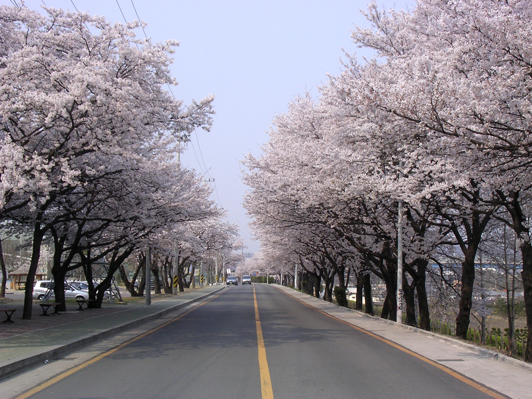 늦게 오시면..... 첨부사진